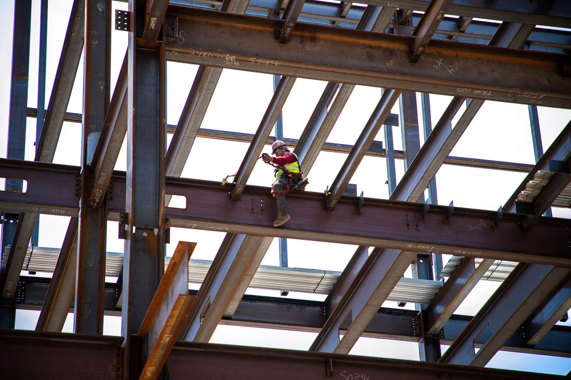 Trade Partners and Vendors